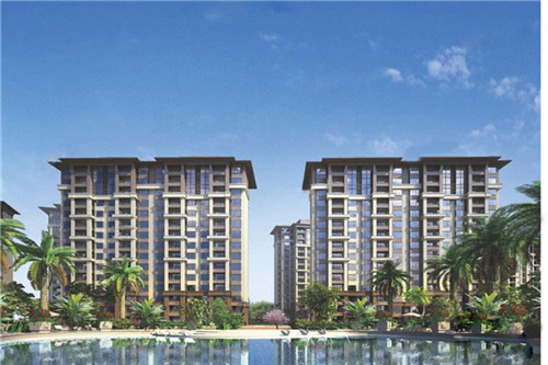 一只鲍鲍汁焖鸡