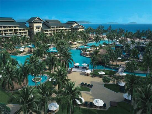 阿婆卤肉饭