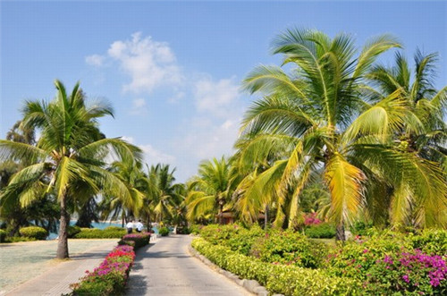 在长丰县加盟士百士汉堡开店困难吗，在长丰县加盟汉堡店哪些收益比较快