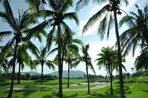 江苏连云港牛肉，连云港牛肉饭加盟店哪家好