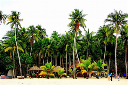 地球十大排名巨兽是什么（地球十大霸主是什么）